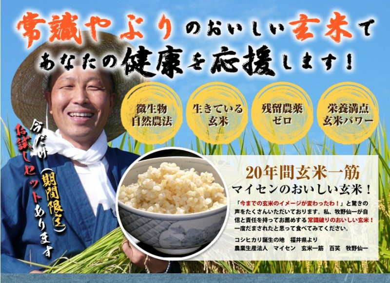 マイセン玄米